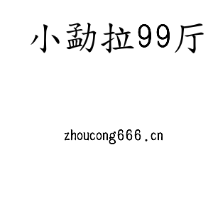 江苏小勐拉99厅技术学院logo